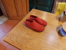 haflinger for sale haflinger for sale SHREWSBURY