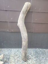 Treibholz wurzel ast gebraucht kaufen  Schwäbisch Hall