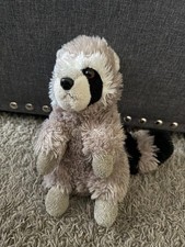 Raccoon wild republic for sale  Denver