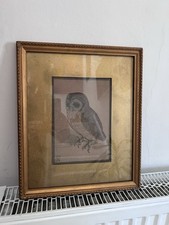 owl painting for sale  BRISTOL