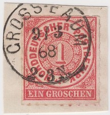 Ndp gross baum gebraucht kaufen  Hagenburg
