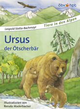 Ursus, Niedźwiedź Ötscher, Leopold Slotta-Bachmayr, Leopold Slotta- Bachmayr na sprzedaż  Wysyłka do Poland