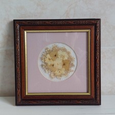 Vintage pressed dried for sale  KETTERING