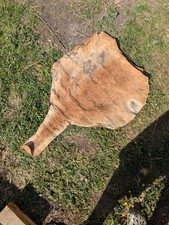 Red kangaroo skin for sale  CARLUKE