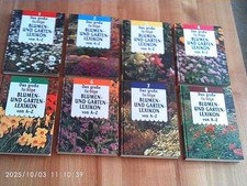 Große farbige blumen gebraucht kaufen Große farbige blumen gebraucht kaufen  Lüdenscheid