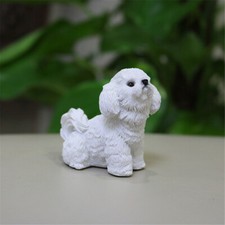 Jjm mini bichon d'occasion  Expédié en Belgium