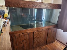100 gallon glass for sale  San Jose