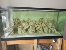 Free 5ft fish for sale  LEICESTER