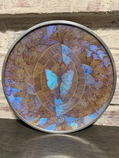 Vintage blue purple for sale  Bartlesville