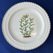 Spode copeland botanical for sale  FALKIRK