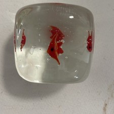 Square glass aquarium for sale  NORTH SHIELDS