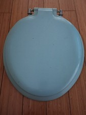 Vintage duck egg for sale  TIVERTON