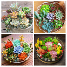 100pcs mix rare for sale  Staten Island