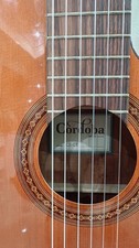 Cordoba semi classical for sale  Harvey