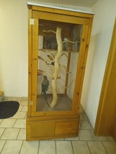 Vogelvoliere vogelkäfig groß gebraucht kaufen  Ingolstadt