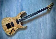 Rich shredzilla evertune gebraucht kaufen  Engelskirchen