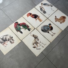 Kunstdruck lithographie signie gebraucht kaufen  Lörrach
