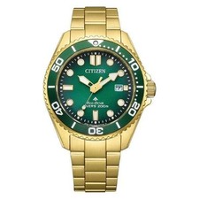 Citizen Promaster BN0262-59W mostrador verde ouro amarelo excelente estado, usado comprar usado Citizen Promaster BN0262-59W mostrador verde ouro amarelo excelente estado, usado comprar usado  Enviando para Brazil