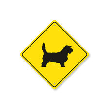 Petit basset grifone usato  Spedire a Italy