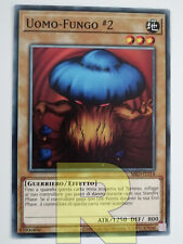 Uomo fungo mushroom usato  Ravenna