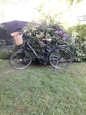 Damen elektro fahrrad gebraucht kaufen  Ottersberg