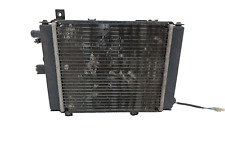 Radiatore acqua kymco usato  Massa di Somma