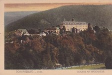 Alte ansichtskarte schwarzburg gebraucht kaufen  Oschersleben (Bode)