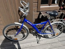 Erhaltenes damenfahrrad gebraucht kaufen  Helmbrechts