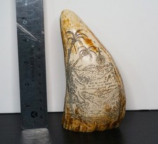 Scrimshaw whale tooth for sale  Apollo Beach