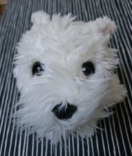 Simply soft white for sale  TAUNTON