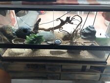 Gecko leopard terrarium d'occasion  Le Mans