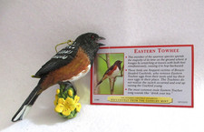 Eastern towhee danbury for sale  Delaware