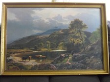 Large mountain forest for sale  BRIDLINGTON