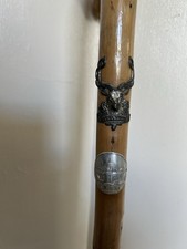 walking stick spike for sale walking stick spike for sale LISKEARD