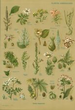 livre plantes d'occasion livre plantes d'occasion Expédié en Belgium