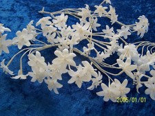 Ancien bouquet fleurs d'occasion  Expédié en Belgium