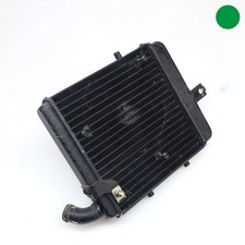 Radiatore acqua benelli usato  Cerignola