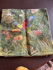 Parrot tropical birds for sale  WINDSOR