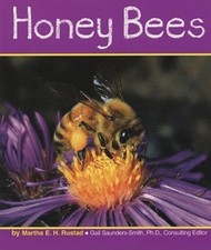 Honey bees for sale  Rockford