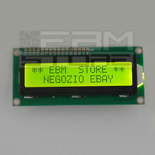 Display verde 16x2 usato  Taurisano