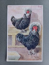 poultry magazine for sale  KING'S LYNN
