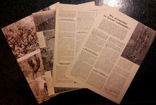 1933 african wildlife d'occasion  Expédié en Belgium