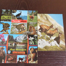 Alte tiere alpen gebraucht kaufen Alte tiere alpen gebraucht kaufen  Burghausen