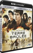 Labyrinthe terre brûlée gebraucht kaufen  Berlin