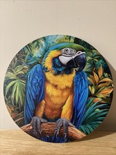 Blue macaw round for sale Blue macaw round for sale  NORWICH