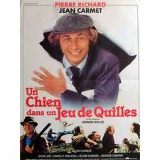 Chien jeu quilles d'occasion  Villeneuve-lès-Avignon