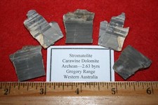 Archaean precambrian stromatol for sale Archaean precambrian stromatol for sale  WAKEFIELD