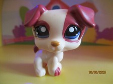 Petshop chien jack d'occasion  Saint-Omer