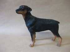Doberman pinscher dog d'occasion  Expédié en Belgium