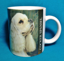 Cocker spaniel dog for sale  York